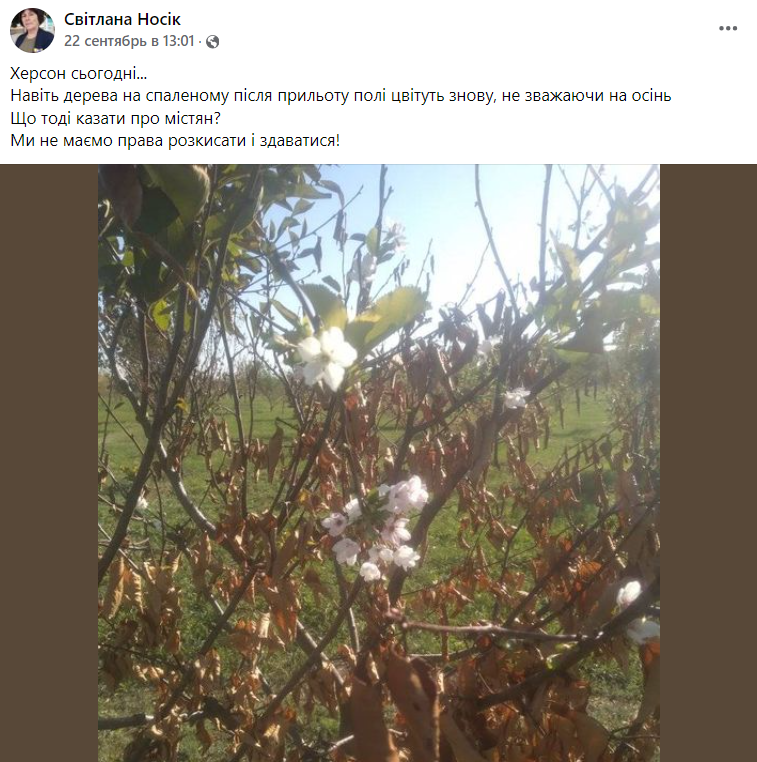 В разных регионах Украины расцветают плодовые деревья. Как это повлияет на урожай